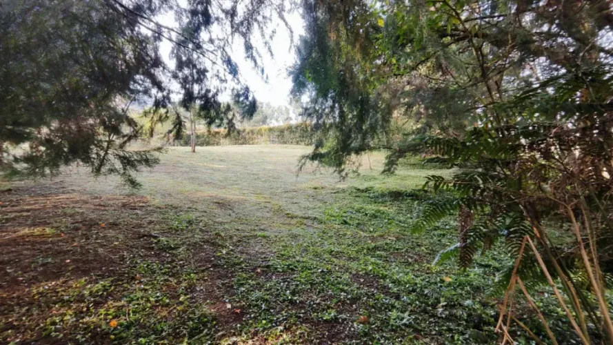 Lote en venta en Centro, Rionegro, 2737 m² · foto 13 de 20