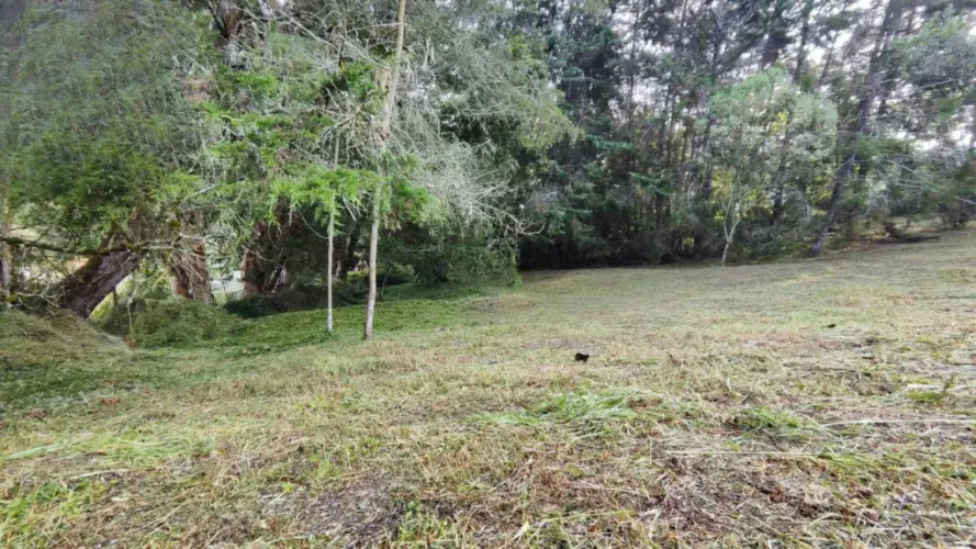 Lote en venta en Centro, Rionegro, 2737 m² · foto 17 de 20