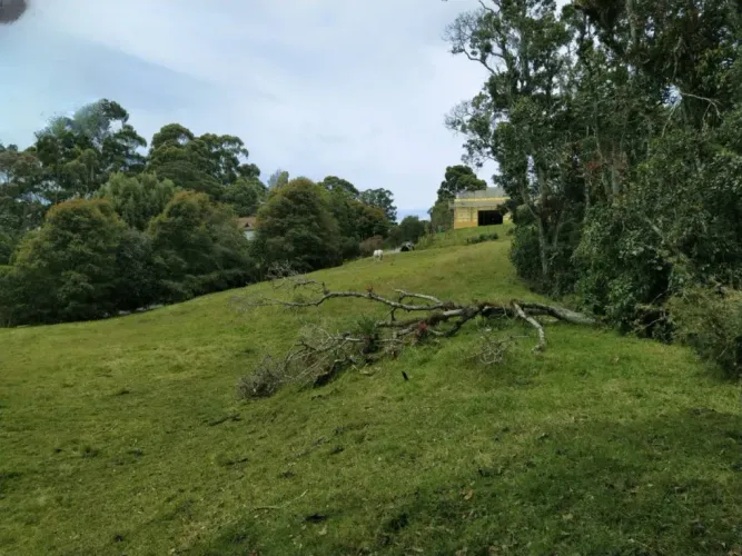 Lote en venta en Loma Del Esmeraldal, Envigado, 6862 m² · foto 5 de 8