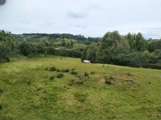 Lote en venta en Loma Del Esmeraldal, Envigado, 6862 m² · foto 6 de 8