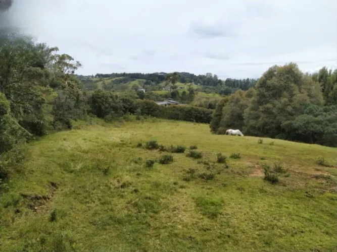 Lote en venta en Loma Del Esmeraldal, Envigado, 6862 m² · foto 7 de 8
