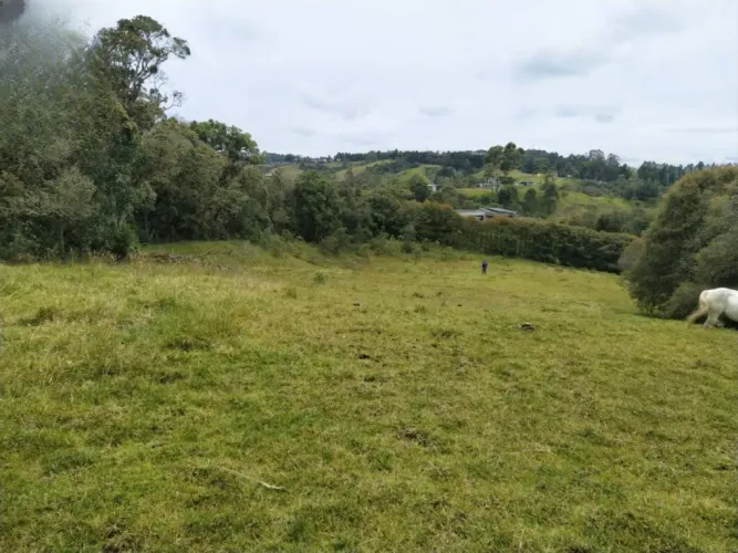 Lote en venta en Loma Del Esmeraldal, Envigado, 6862 m² · foto 8 de 8