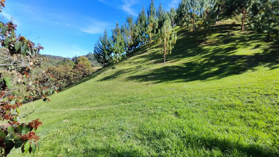 Finca en venta en El Retiro, 24181 m² · foto 5 de 20