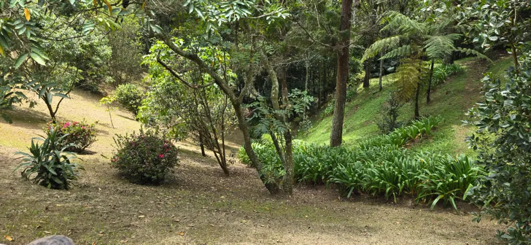 Casa de 5 alcobas en venta en El Retiro, 300 m² · foto 4 de 20