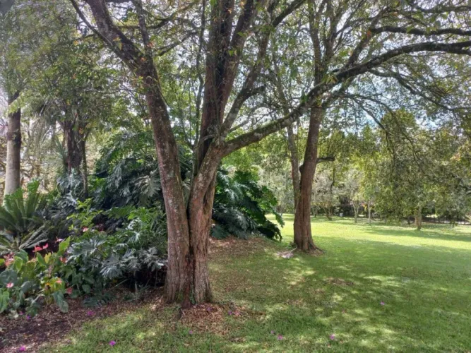 Lote en venta en Centro, Rionegro, 2985 m² · foto 4 de 14