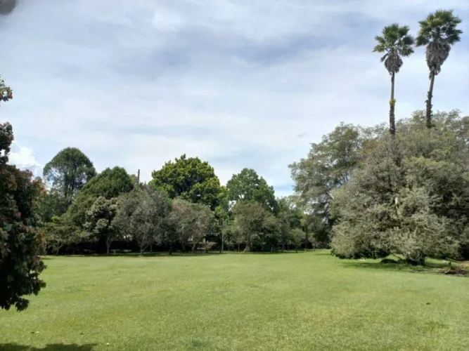 Lote en venta en Centro, Rionegro, 2985 m² · foto 6 de 14