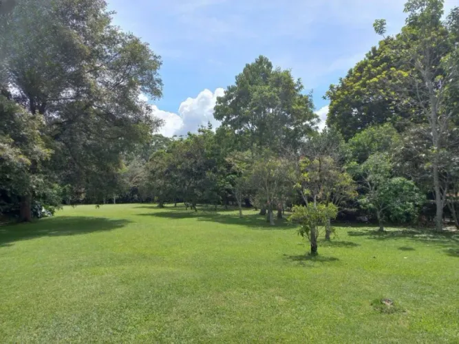 Lote en venta en Centro, Rionegro, 2985 m² · foto 10 de 14