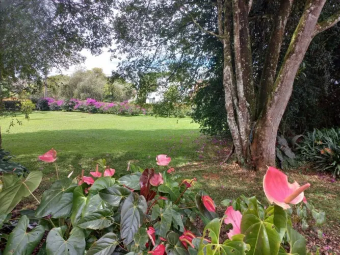 Lote en venta en Centro, Rionegro, 2985 m² · foto 11 de 14