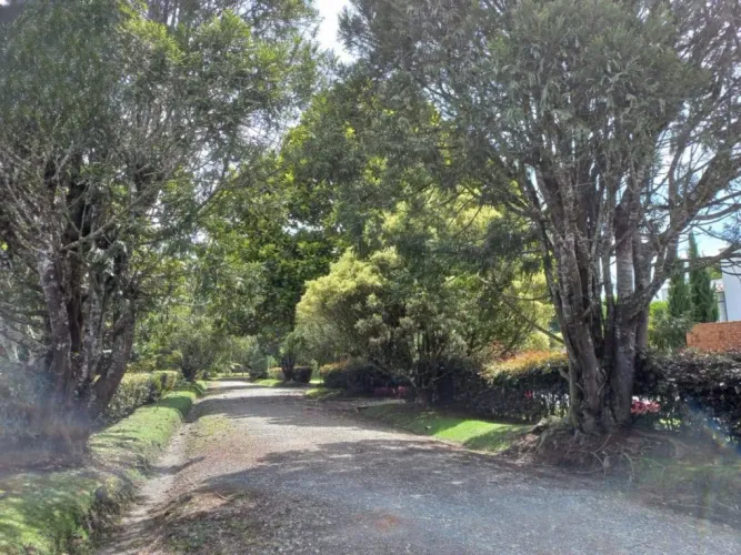 Lote en venta en Centro, Rionegro, 2985 m² · foto 13 de 14
