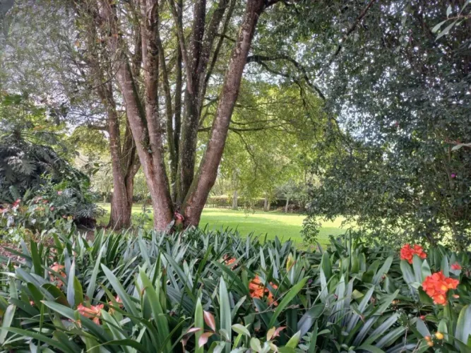 Lote en venta en Centro, Rionegro, 2985 m² · foto 14 de 14