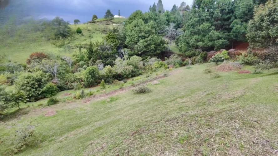 Lote en venta en El Retiro, 4287 m² · foto 8 de 18
