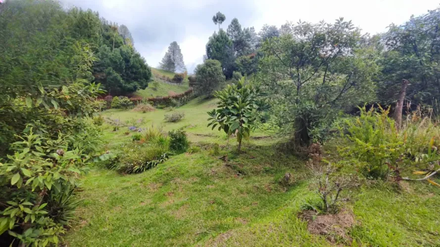 Lote en venta en El Retiro, 4287 m² · foto 9 de 18