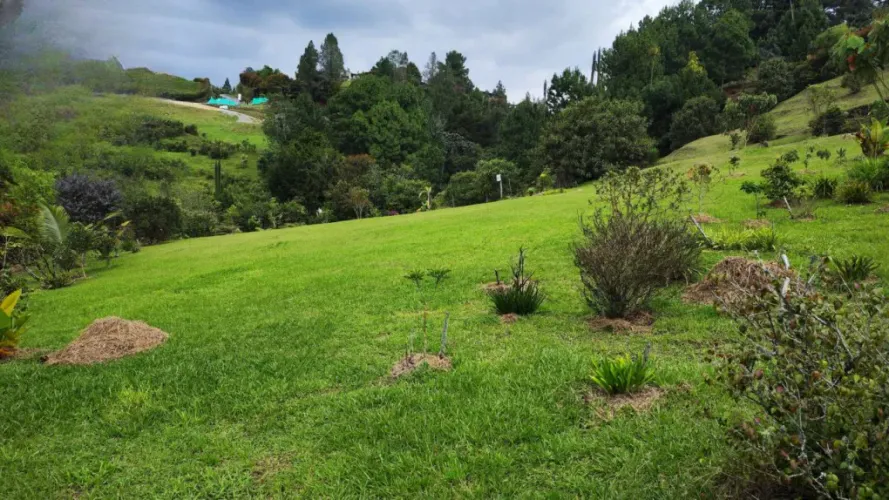 Lote en venta en El Retiro, 4287 m² · foto 18 de 18