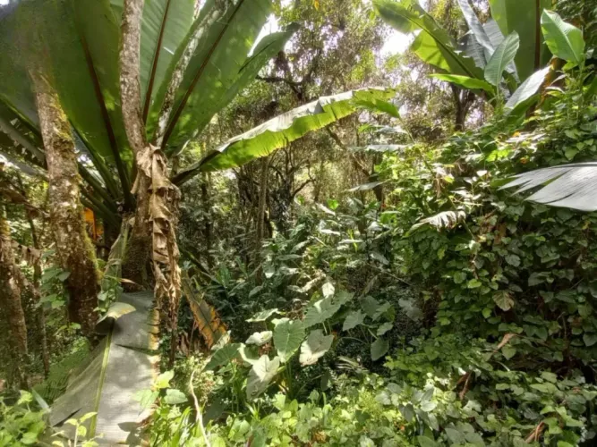 Casa de 2 alcobas en venta en El Retiro · foto 4 de 18