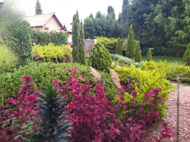 Finca en venta en Guarne, 4000 m² · foto 5 de 20