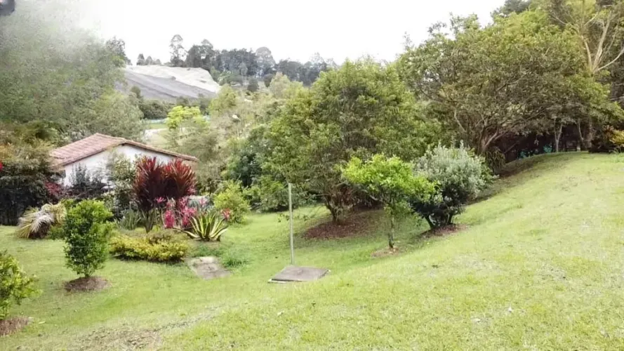 Finca en venta en Centro, Rionegro, 2500 m² · foto 4 de 20