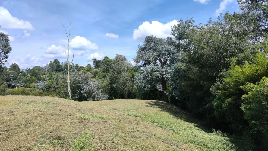 Lote en venta en Centro, Rionegro, 2630 m² · foto 9 de 19