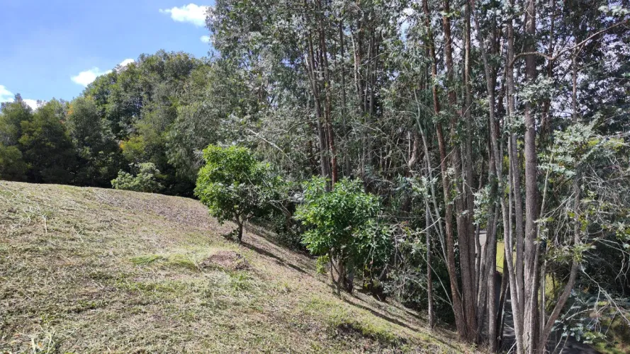 Lote en venta en Centro, Rionegro, 2630 m² · foto 10 de 19
