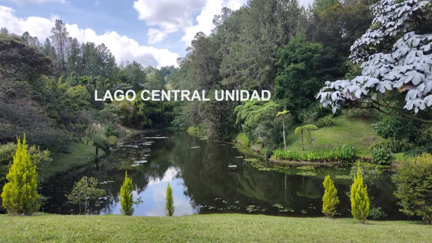 Lote en venta en Centro, Rionegro, 2630 m² · foto 18 de 19