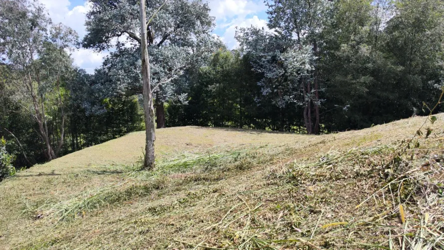 Lote en venta en Centro, Rionegro, 2630 m² · foto 19 de 19