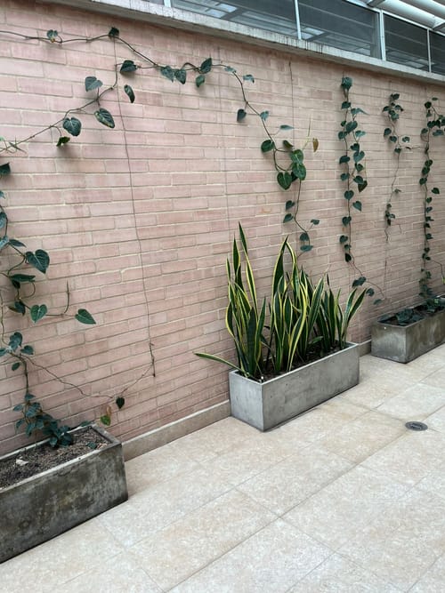 Apartamento de 4 alcobas en venta en Ciudadela Floralia, Cali, 226 m² · foto 5 de 24