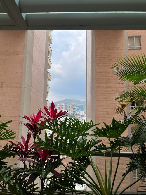 Apartamento de 4 alcobas en venta en Ciudadela Floralia, Cali, 226 m² · foto 14 de 24