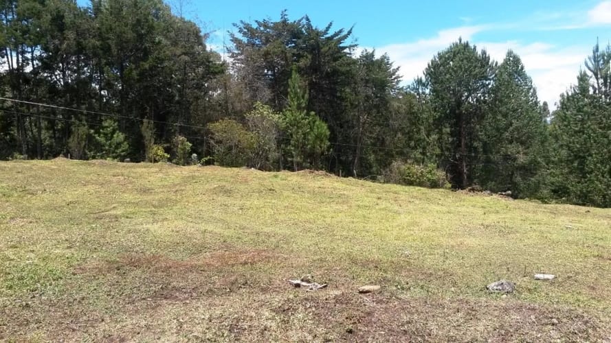 Lote en venta en El Porvenir, Rionegro, 11600 m² · foto 3 de 8
