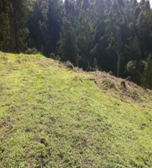 Lote en venta en El Porvenir, Rionegro, 11600 m² · foto 4 de 8