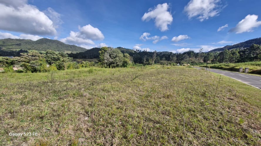 Lote en venta en El Tambo, La Ceja, 1937 m² · foto 4 de 11