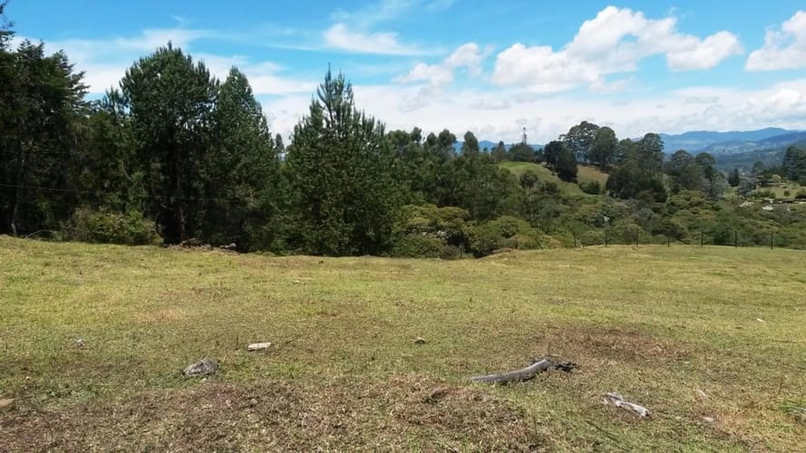 Lote en venta en El Porvenir, Rionegro, 11600 m² · foto 5 de 8