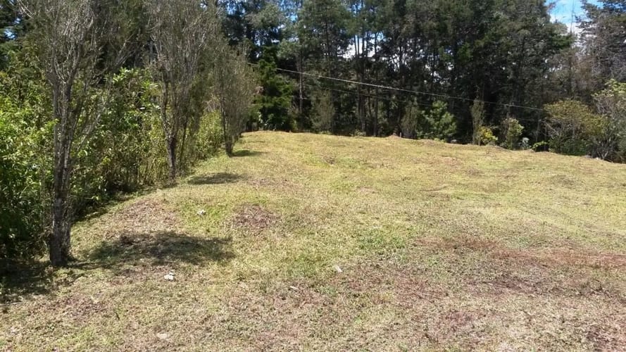 Lote en venta en El Porvenir, Rionegro, 11600 m² · foto 6 de 8