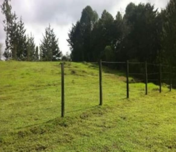 Lote en venta en El Porvenir, Rionegro, 11600 m² · foto 8 de 8