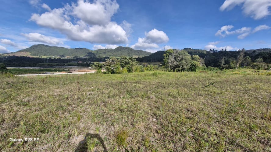 Lote en venta en El Tambo, La Ceja, 1937 m² · foto 8 de 11