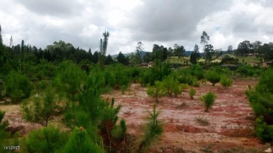 Lote en venta en Canoas, Guarne, 79000 m² · foto 4 de 12