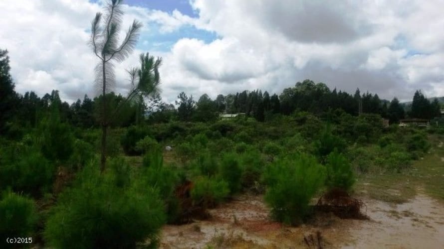Lote en venta en Canoas, Guarne, 79000 m² · foto 5 de 12