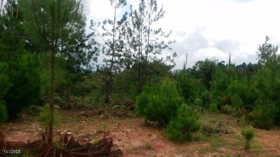 Lote en venta en Canoas, Guarne, 79000 m² · foto 6 de 12