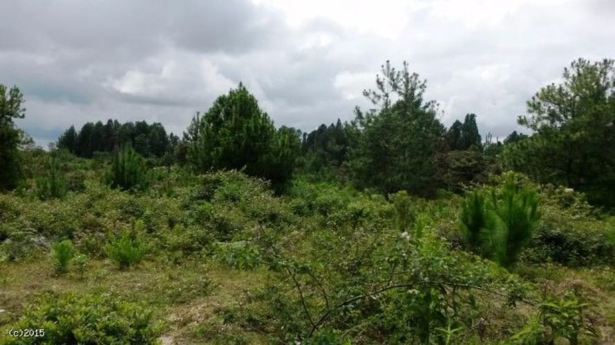 Lote en venta en Canoas, Guarne, 79000 m² · foto 7 de 12