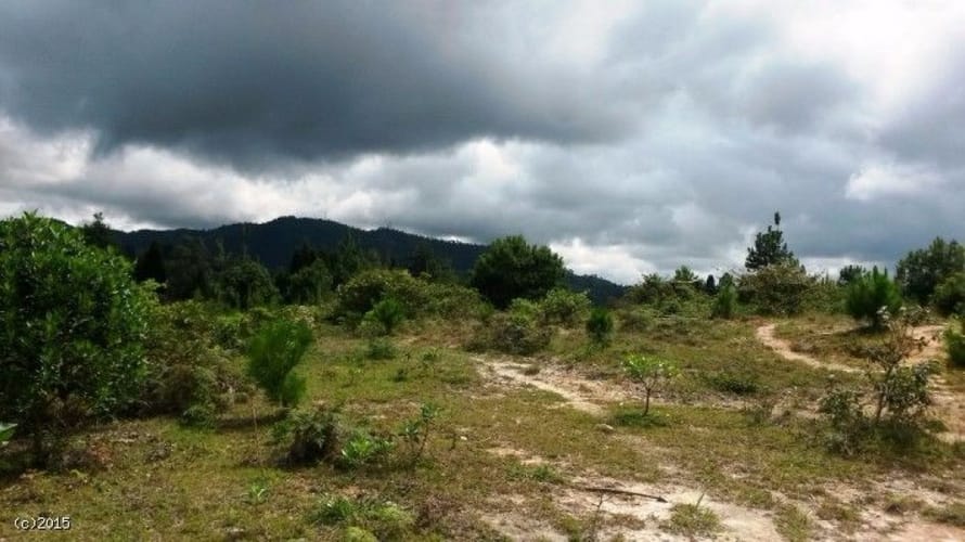 Lote en venta en Canoas, Guarne, 79000 m² · foto 9 de 12