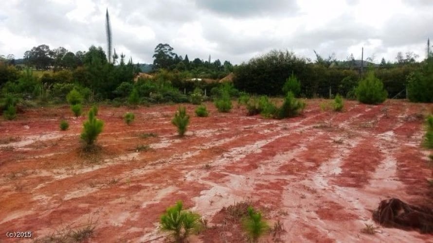 Lote en venta en Canoas, Guarne, 79000 m² · foto 10 de 12