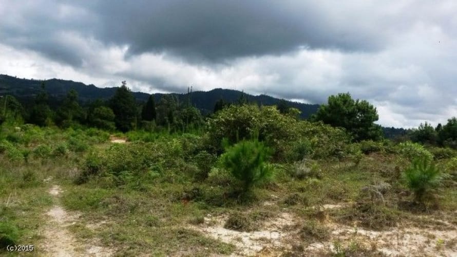 Lote en venta en Canoas, Guarne, 79000 m² · foto 11 de 12