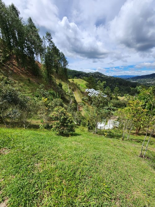 Lote en venta en Los Salados, El Retiro, 8964 m² · foto 8 de 11