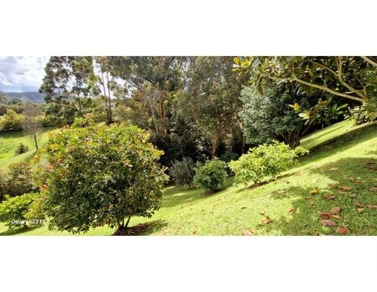 Finca en venta en Guamito, La Ceja, 550 m² · foto 14 de 24