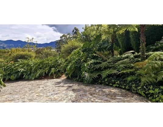 Finca en venta en Guamito, La Ceja, 550 m² · foto 18 de 24