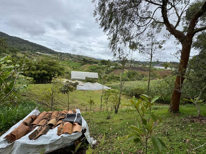 Finca en venta en Rivera, El Carmen de Viboral, 160 m² · foto 11 de 24