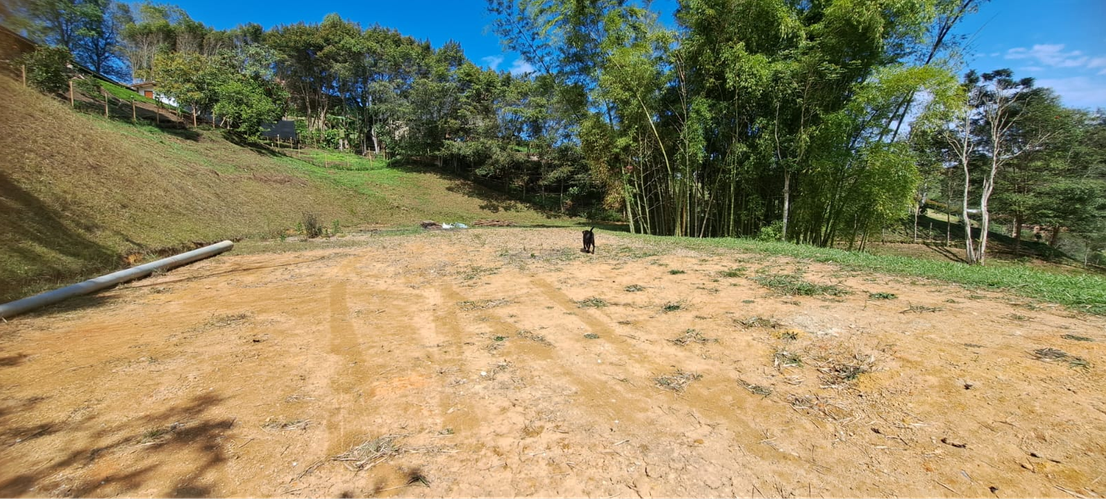 Lote en venta en El Carmen De Viboral, El Carmen de Viboral, 1250 m² · foto 6 de 24