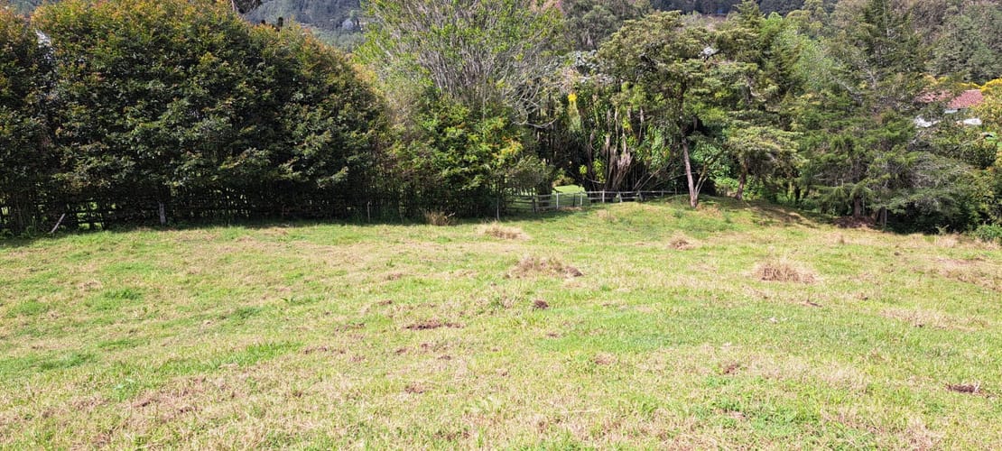 Lote en venta en Los Salados, El Retiro, 5000 m² · foto 3 de 13