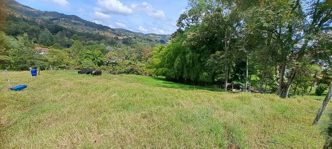 Lote en venta en Los Salados, El Retiro, 5000 m² · foto 6 de 13