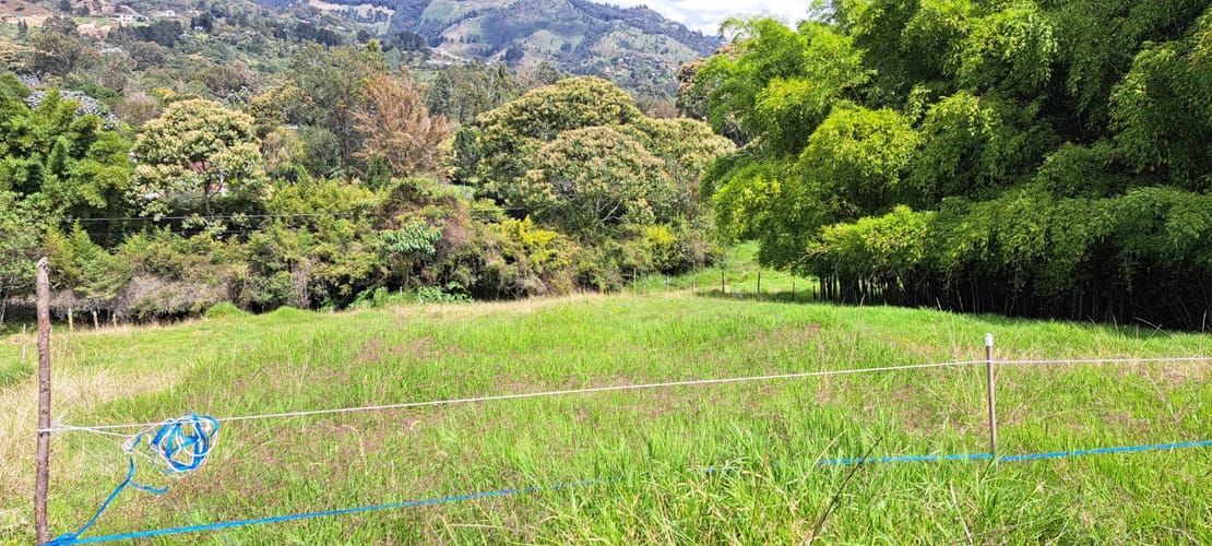 Lote en venta en Los Salados, El Retiro, 5000 m² · foto 8 de 13