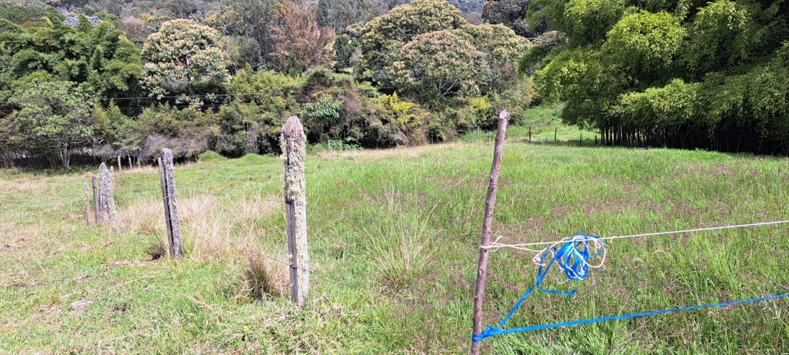 Lote en venta en Los Salados, El Retiro, 5000 m² · foto 10 de 13