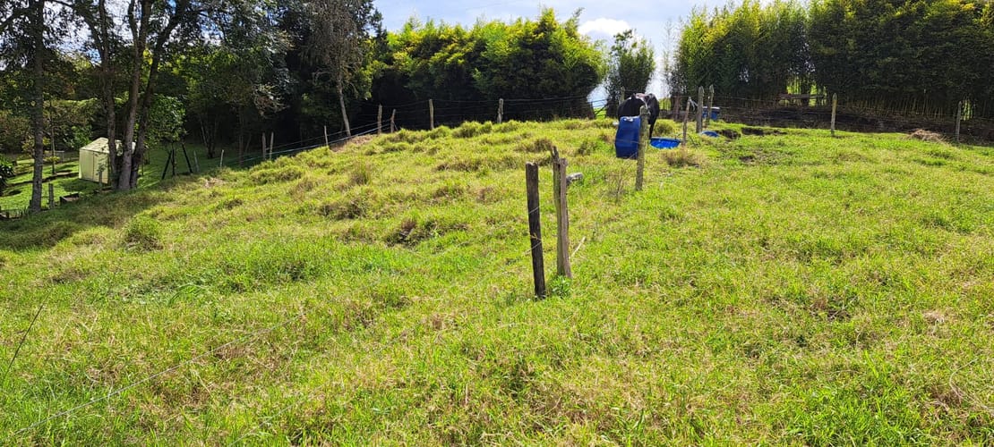 Lote en venta en Los Salados, El Retiro, 5000 m² · foto 11 de 13